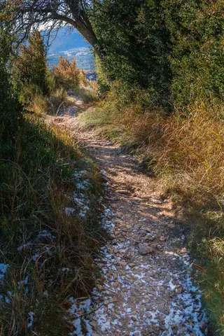 MDY - Caussols (GR4).jpg