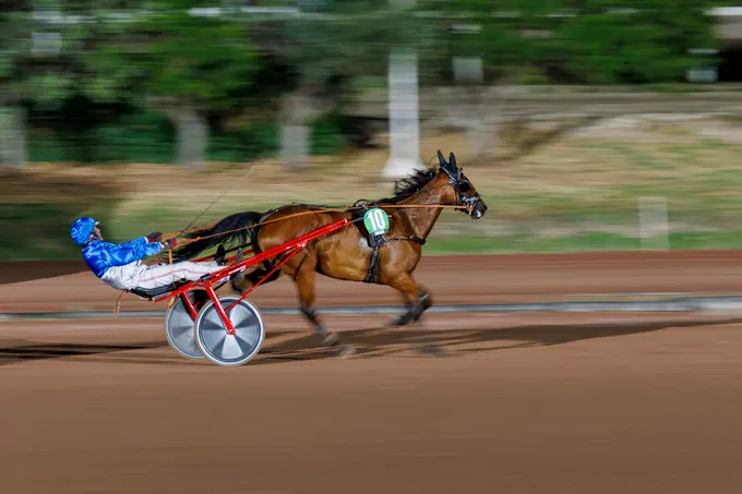 Vitesse et puissance au trot