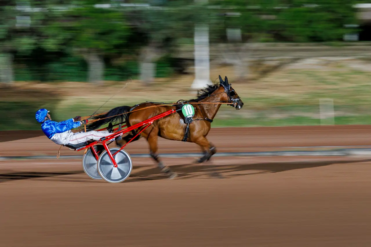 MDY - Nuit Blanche-20250723-22-34-55.jpg