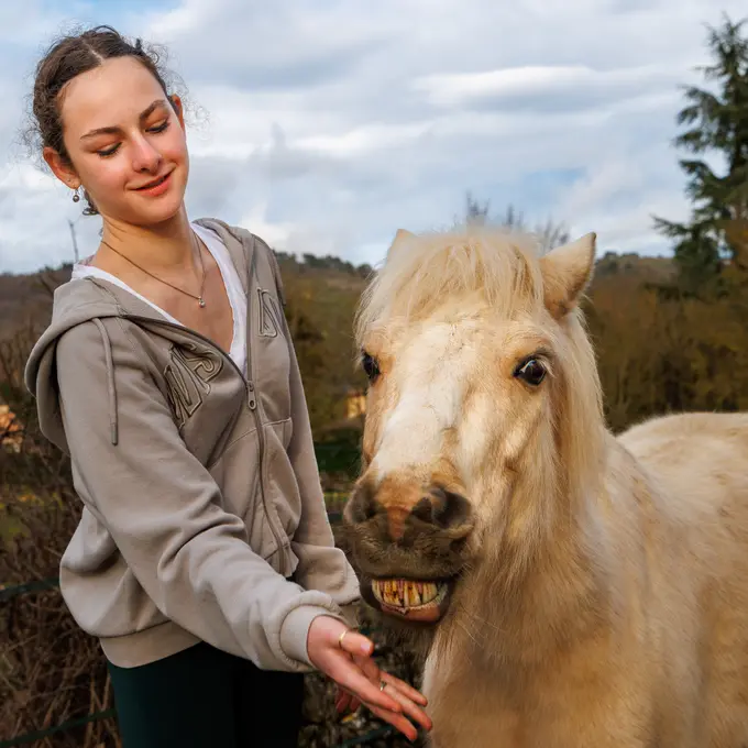 Ce cheval pose pour la photo