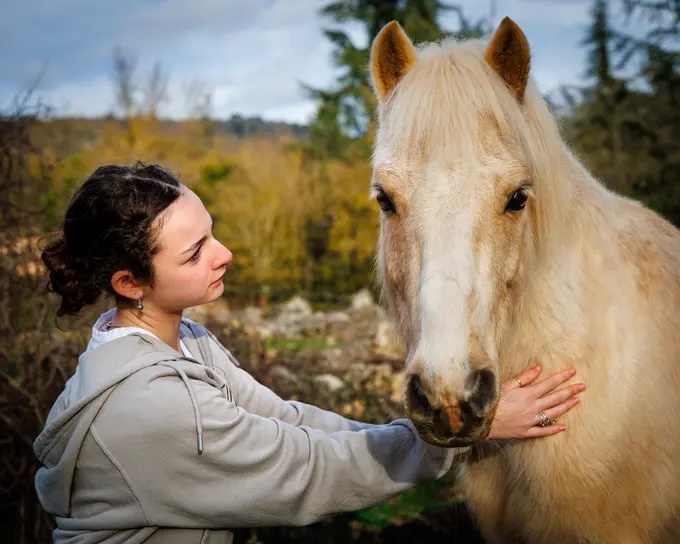 Cheval sérieux et concentré pour la photo