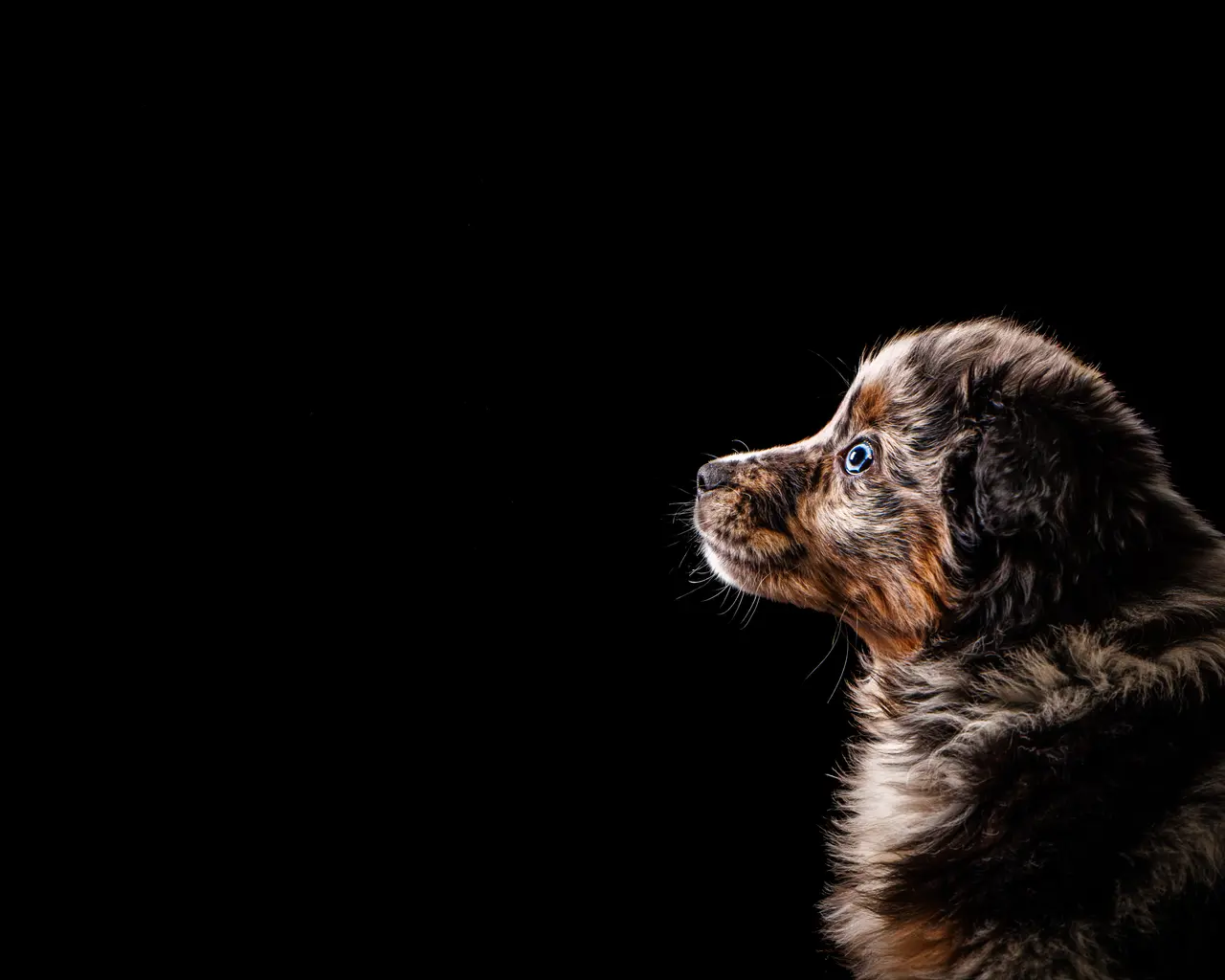 MDY - Apy (14 sur 27).jpg